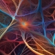 Estruturas de redes neurais